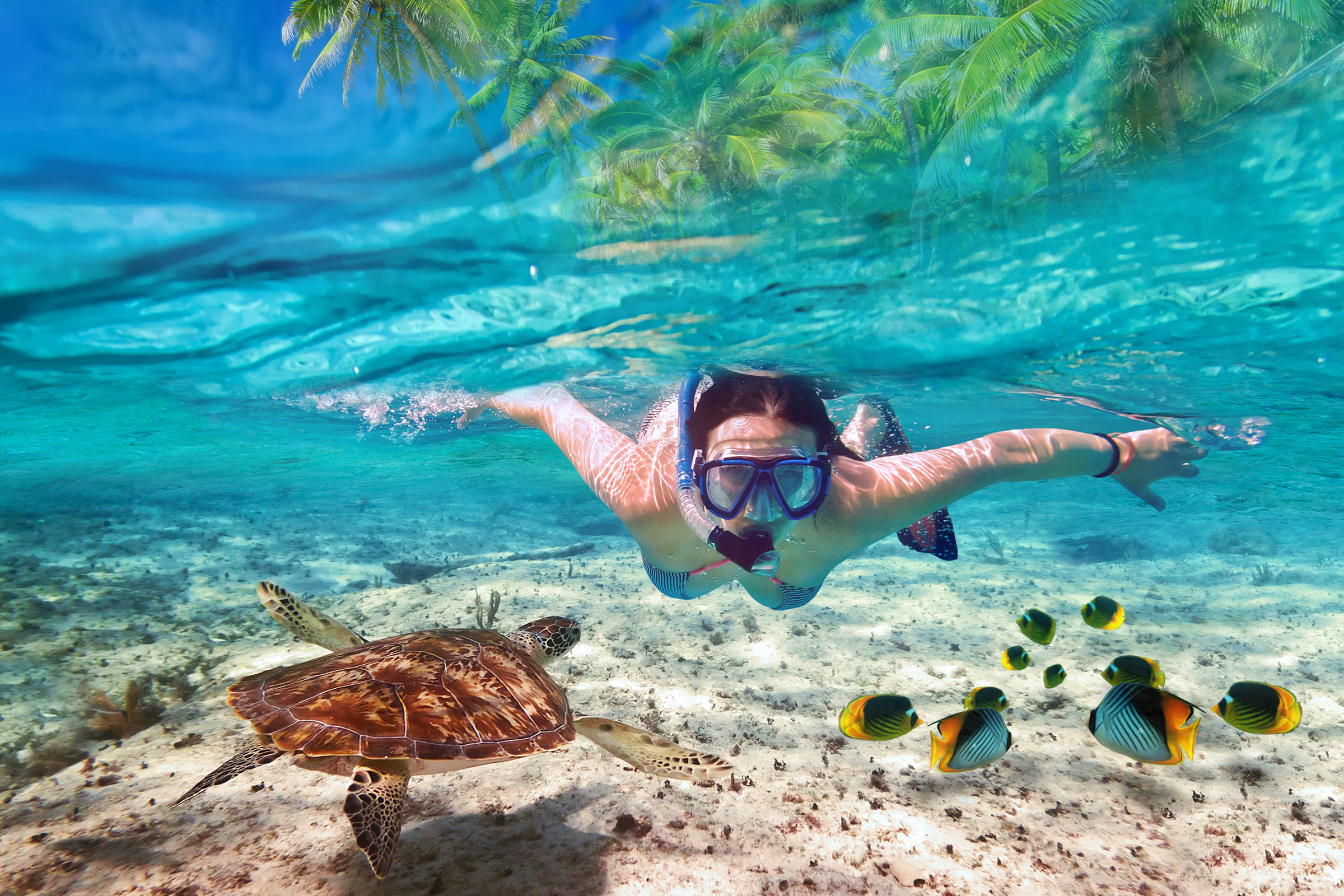 Ritz Carlton Yacht Collection Ritz Carlton Yacht SNORKLING 1.png